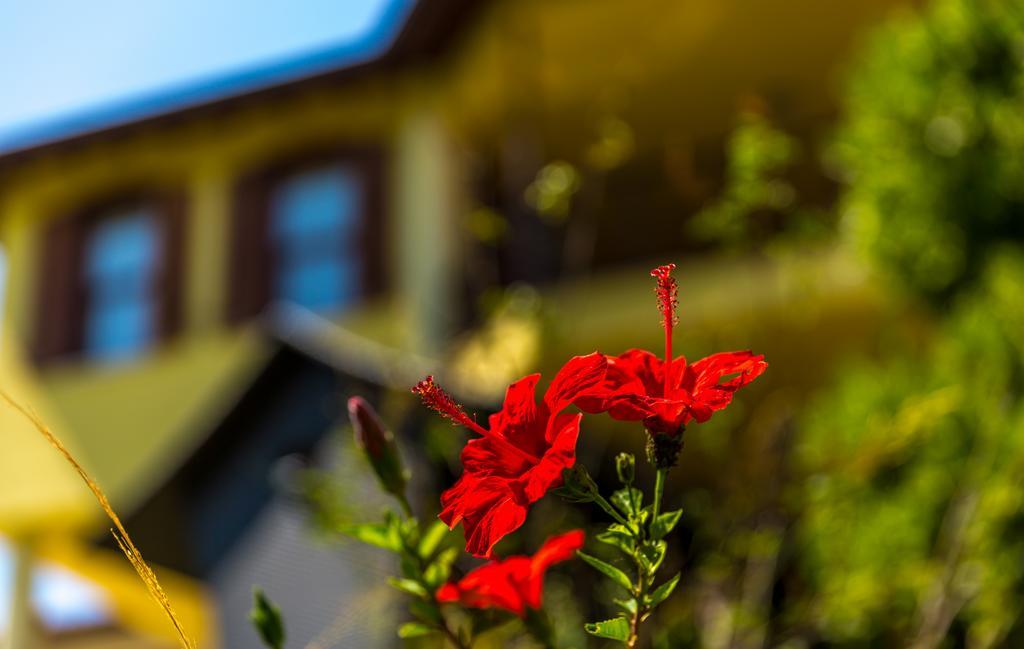 Marmaris Holiday Villas Εξωτερικό φωτογραφία