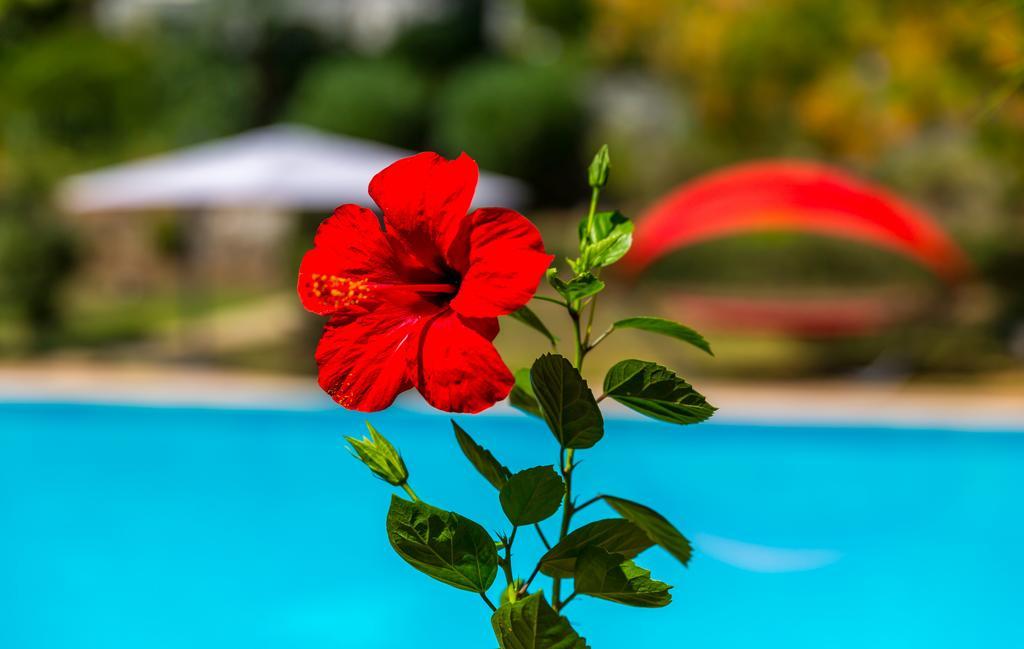 Marmaris Holiday Villas Εξωτερικό φωτογραφία